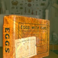 Egg_Box_T4.jpg